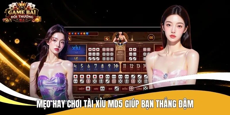Mẹo hay chơi Tài Xỉu MD5 giúp bạn thắng đậm