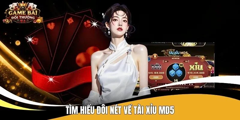 Tìm hiểu đôi nét về Tài Xỉu MD5