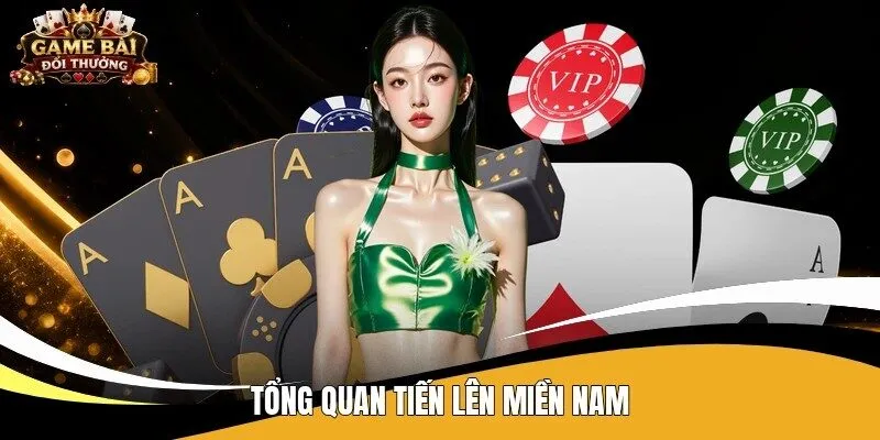 Tổng quan tiến lên miền Nam
