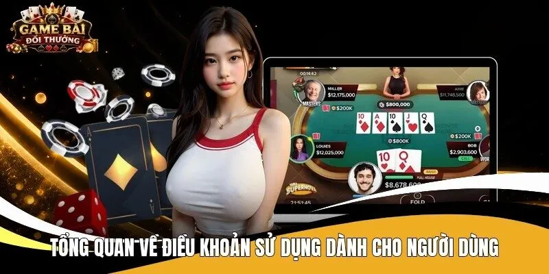 Tổng quan về điều khoản sử dụng dành cho người dùng